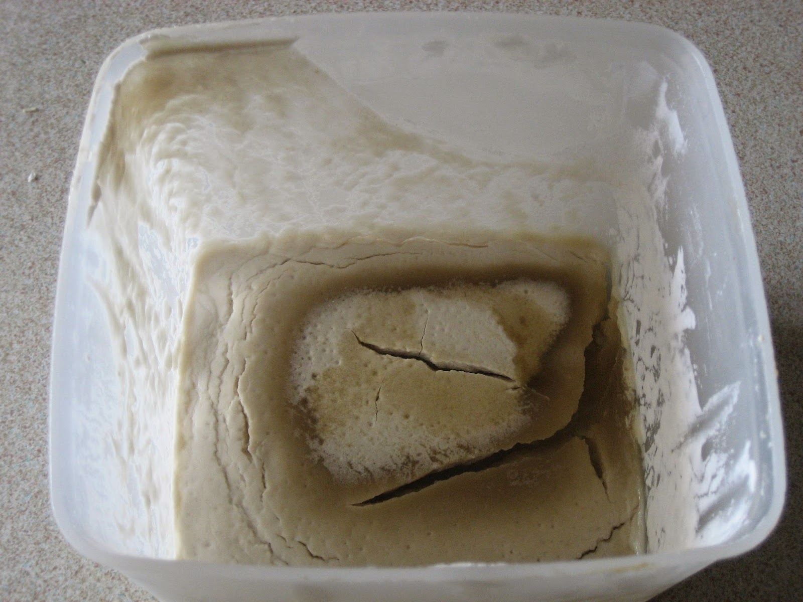 Life at Arbordale Farm Reviving my Sourdough Starter Fail